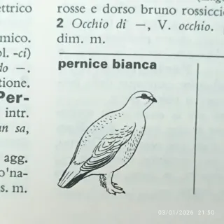 Dizionario italiano