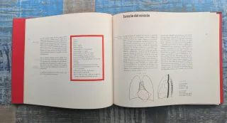 Guía de Síntomas Cardíacos