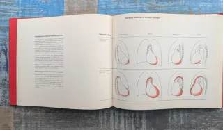 Guía de Síntomas Cardíacos