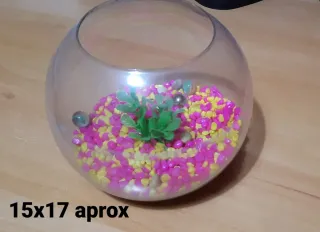 Pecera pequeña decorada