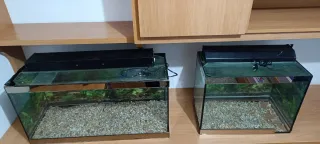 Se venden dos acuarios con grava los 2 por 75 euro