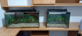 Se venden dos acuarios con grava los 2 por 75 euro
