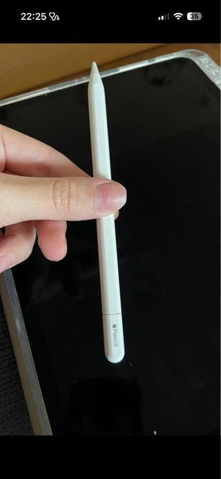 Apple Pencil USB-C - praticamente mai utilizzata