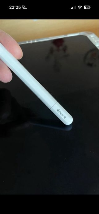 Apple Pencil USB-C - praticamente mai utilizzata