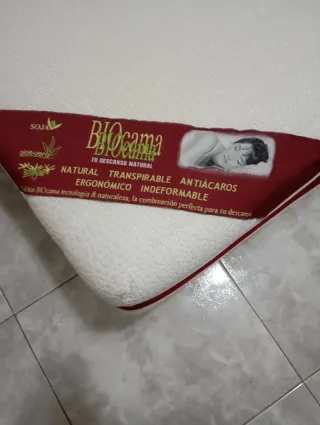 Cama Articulada Eléctrica