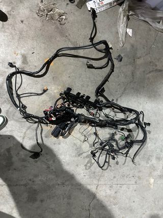 Cableado Audi A5 CAEB