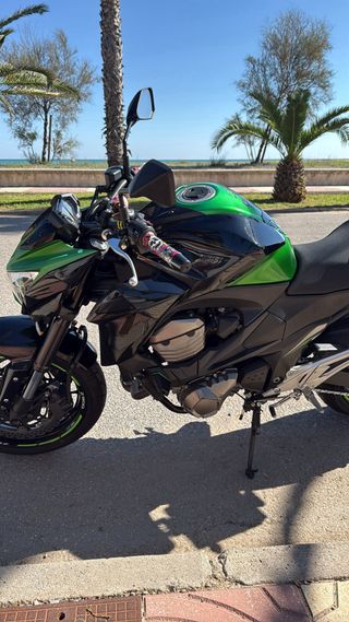 Kawasaki Z800 2015 Escape SC Proyect