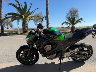 Kawasaki Z800 2015 Escape SC Proyect