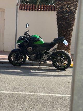 Kawasaki Z800 2015 Escape SC Proyect