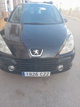 Peugeot 307 2005