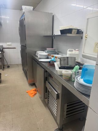 Campana extractora de cocina