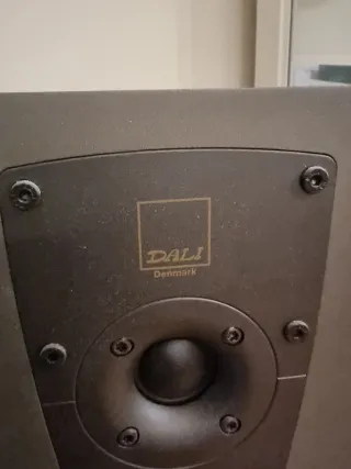 Pareja Altavoces Dali Concept 6 Gris