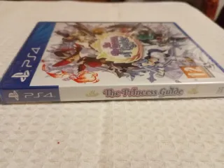 The Princess Guide PS4