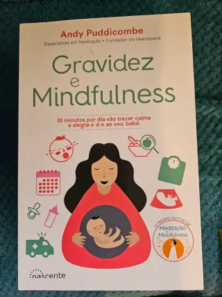 Livro Gravidez e Mindfulness - Andy Puddicombe