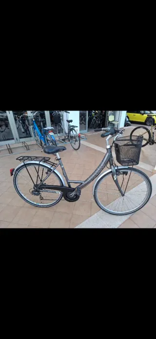 Bicicleta Paseo Blaue 29