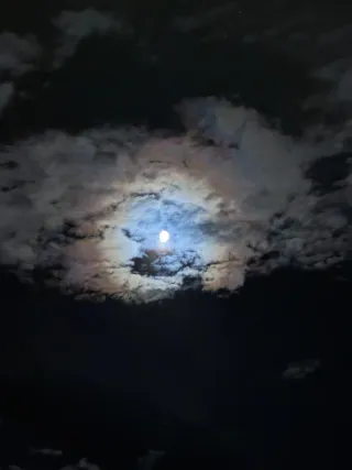 Servicio de limpieza de vivienda