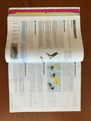 Proyecto: Fanfest-biologia, geologia y cienci