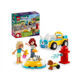LEGO Friends Set Giocattolo da Collezione