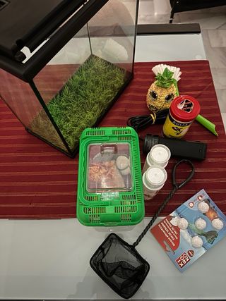 Kit Acuario Pecera Accesorios