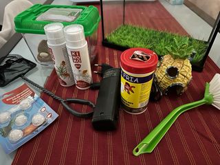 Kit Acuario Pecera Accesorios