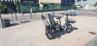 Bicicleta eléctrica Tern GSD