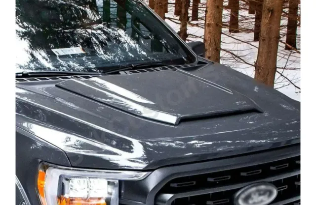 Entrada de aire para Ford F150