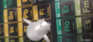 2 Pingüinos 3D para colorear