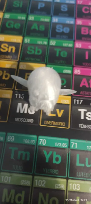 2 Pingüinos 3D para colorear