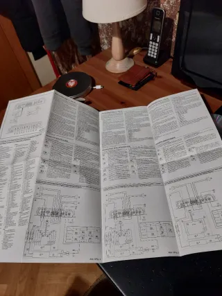 Manual Alpine MRV-F250 Amplificador