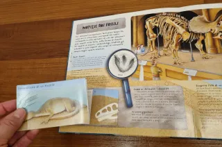 Occhio ai dinosauri. Libro pop-up. Ediz. a colori