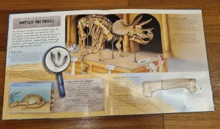 Occhio ai dinosauri. Libro pop-up. Ediz. a colori