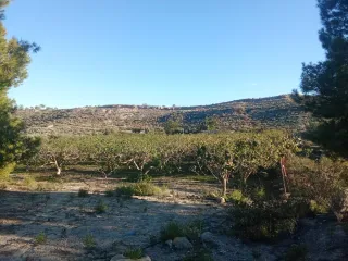 Finca de Higueras se Cede