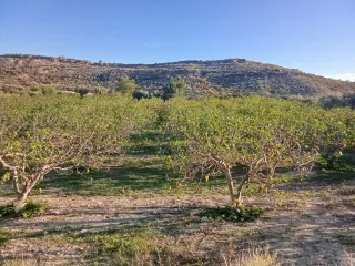 Finca de Higueras se Cede