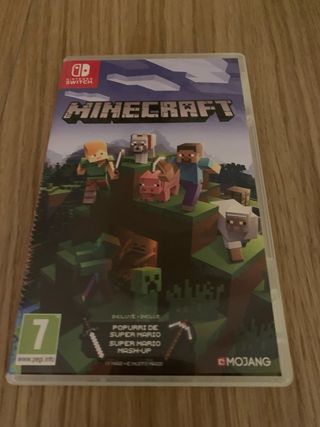 Minecraft Nintendo Switch
