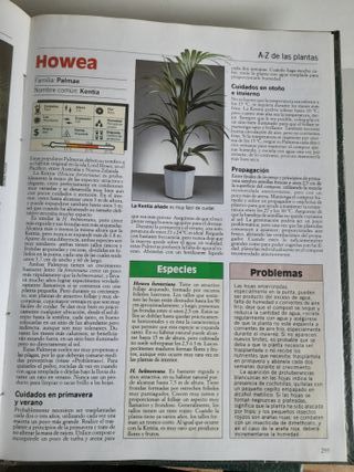 Plantas de Interior - Terraza y Balcón