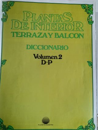 Plantas de Interior - Terraza y Balcón