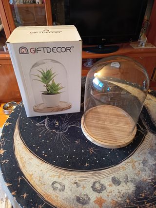 CÚPULA DE CRISTAL CON BASE DE MADERA