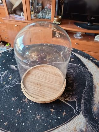 CÚPULA DE CRISTAL CON BASE DE MADERA