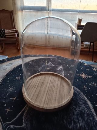 CÚPULA DE CRISTAL CON BASE DE MADERA