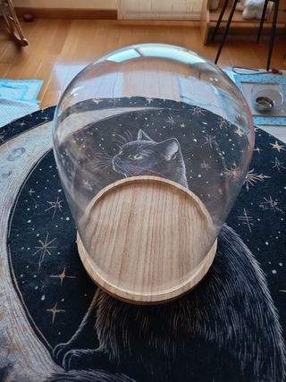 CÚPULA DE CRISTAL CON BASE DE MADERA