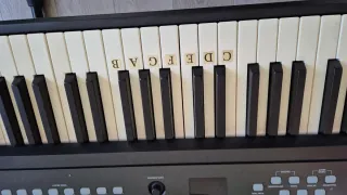 Thomann DP-25 Piano Digital 88 Teclas + Soporte