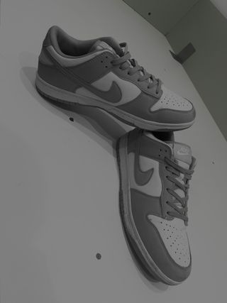 Nike Dunk Low Gris y Blanco