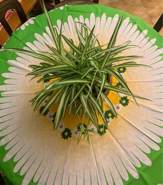 Tovaglia rotonda con 8 tovaglioli abbinati