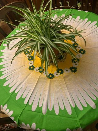 Tovaglia rotonda con 8 tovaglioli abbinati