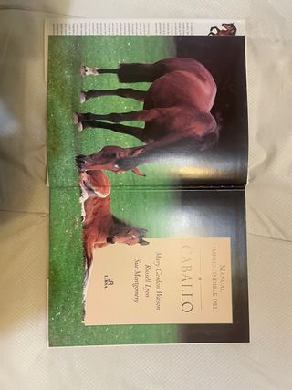 Manual imprescindible del caballo
