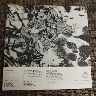 LP 33 rpm Twilight Ritual Rituals