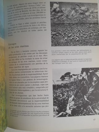 Cuestión vida muerte Historia ilustrada ecologia