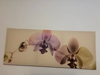 Cuadro Orquídeas Rectangular