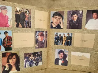 Cantantes y Conjuntos