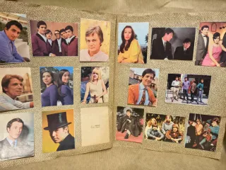 Cantantes y Conjuntos